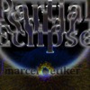 ALBUM: Partial Solar Eclipse